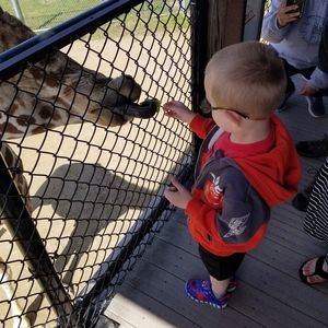 Meet your Posher, Matthew